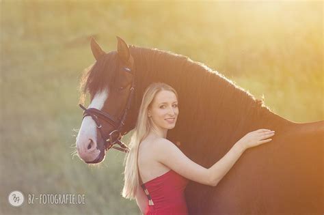 sex mit dem pferd|Pferde beim decken mit einer menschlichen frau